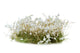 White Flowers Tufts-Gamers Grass-Radaddel
